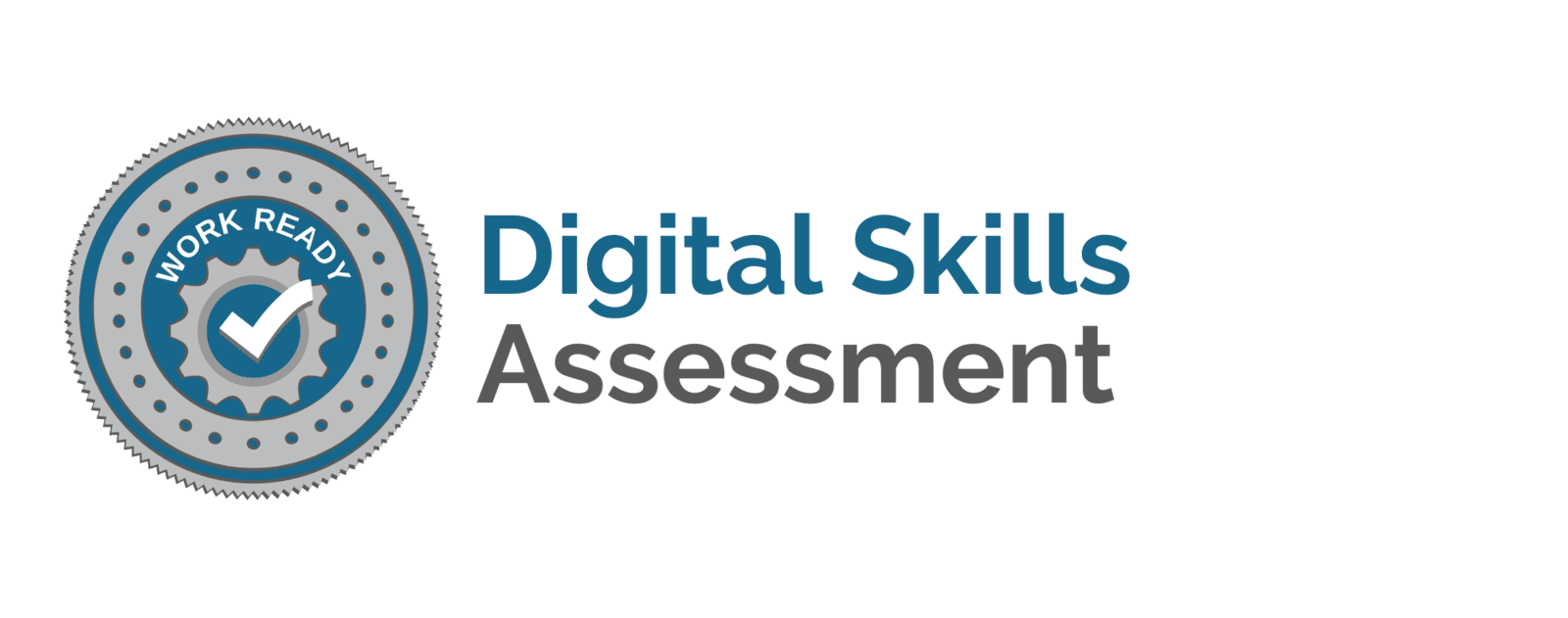 Digital Skills Assessment