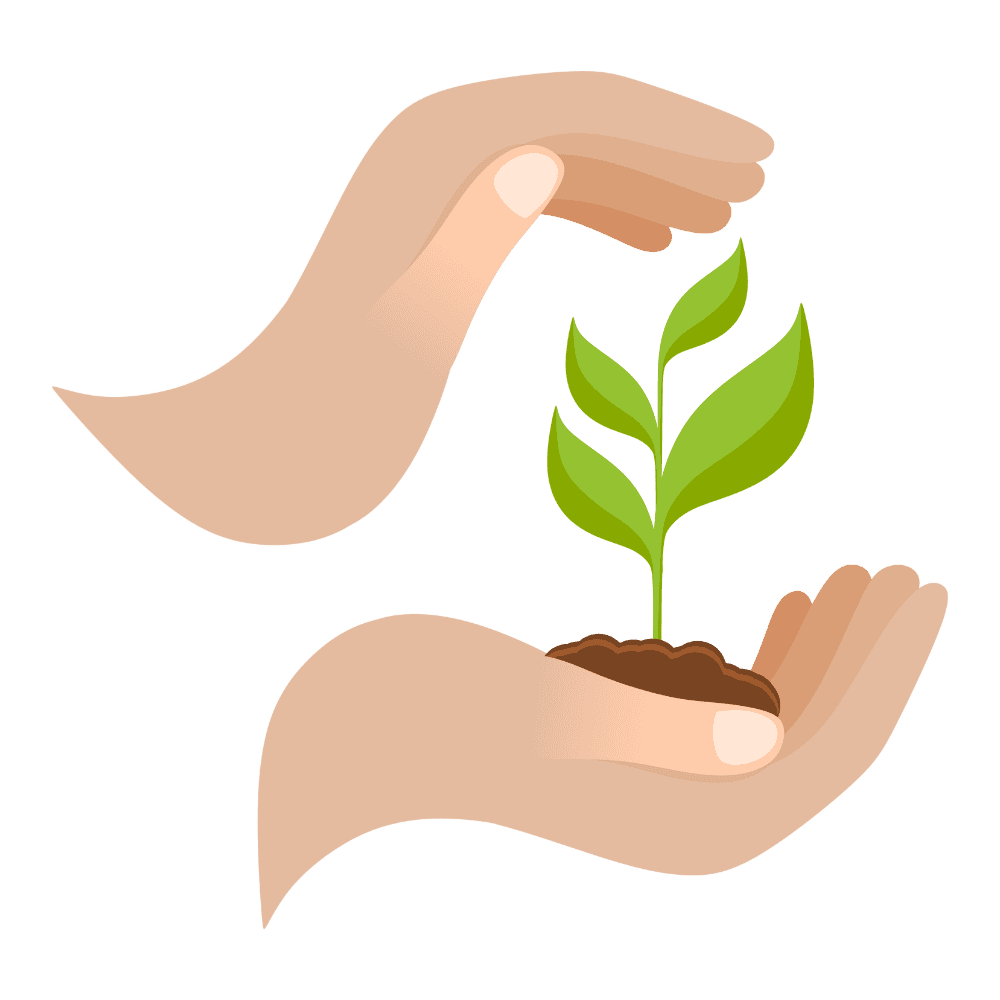 graphic of hands holding a small plant